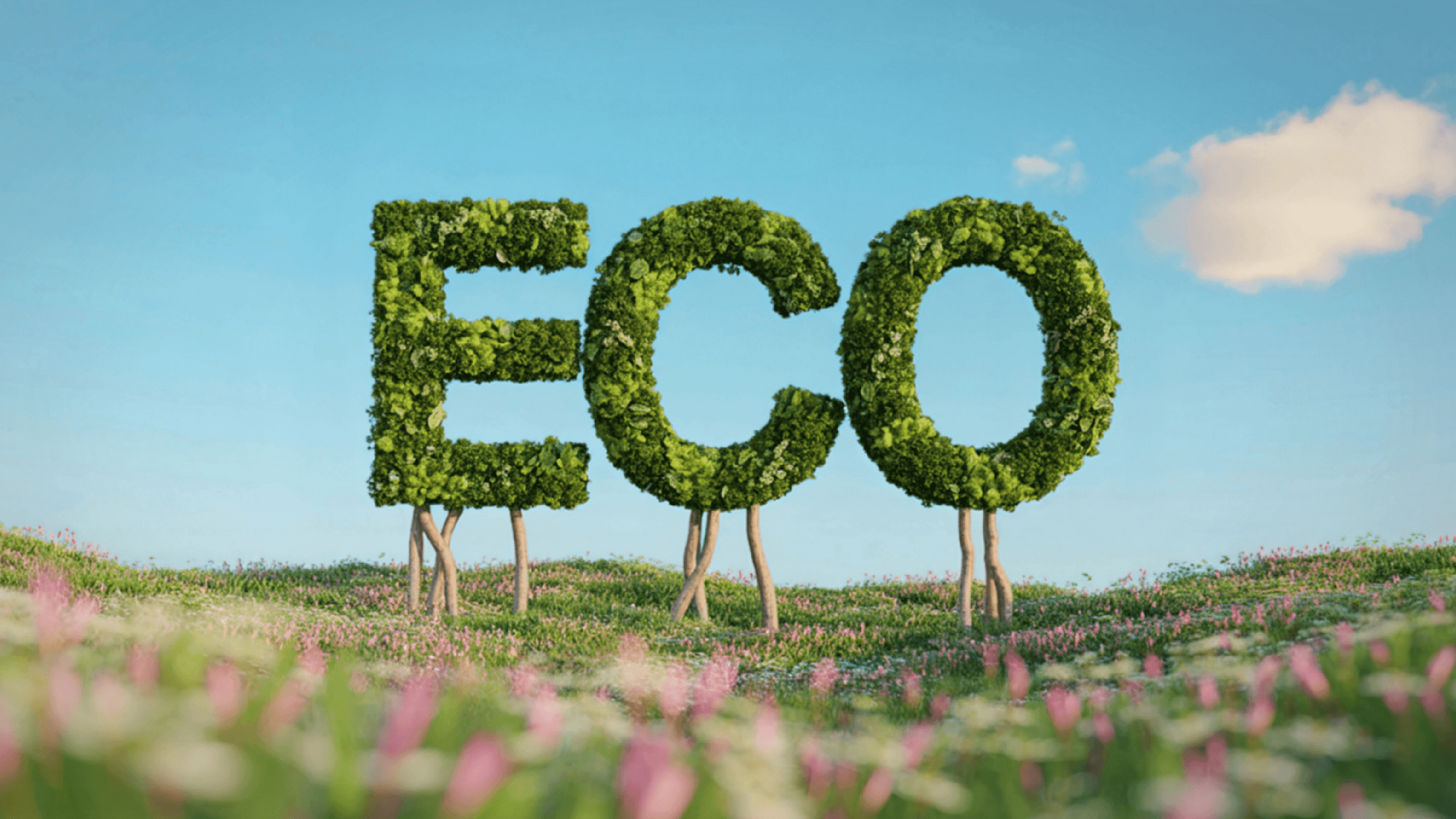 ECO standards for sustainable buildings